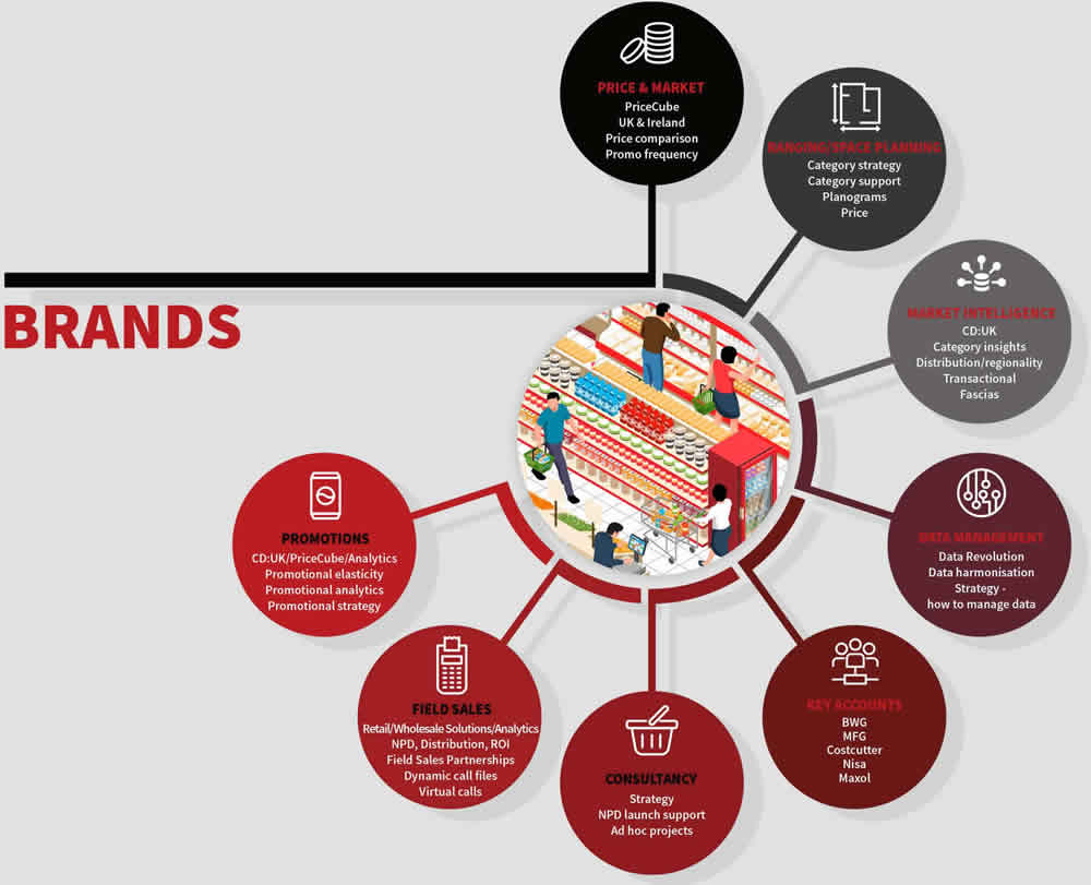 your business infographic